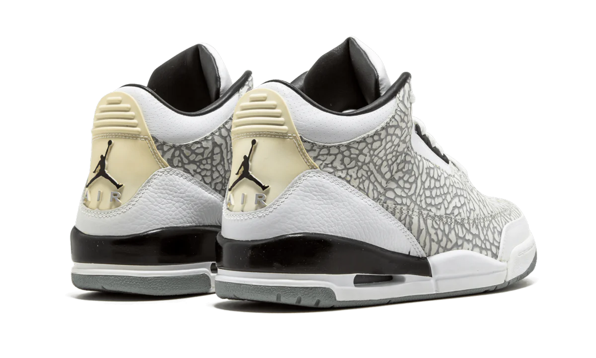 Air Jordan Retro 3 Flip "Flip" 315767 101