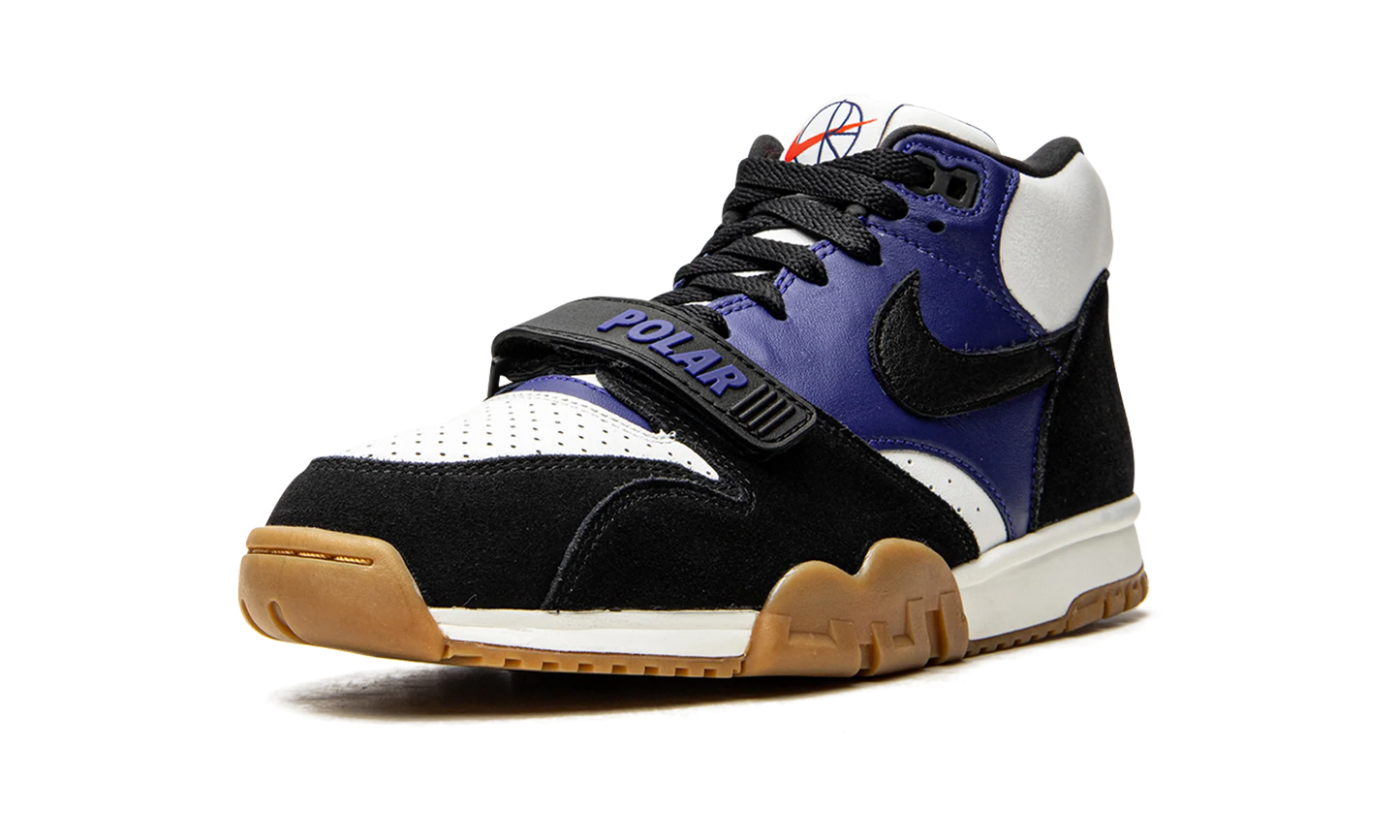 SB Air Trainer 1 "Polar Skate Company" CI6892 001