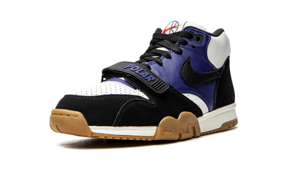 SB Air Trainer 1 "Polar Skate Company" CI6892 001