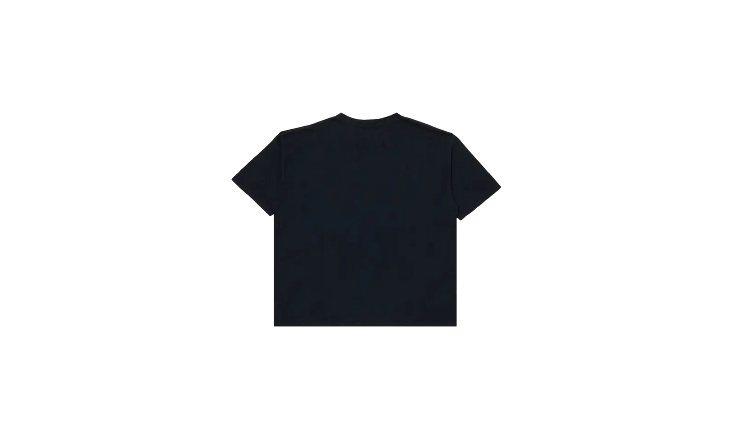 Palmera Tee "Vintage Black" RHPS24TT030120610