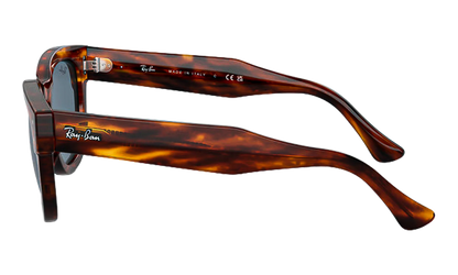 Mega Hawkeye Sunglasses "Striped Havana" RB0298S-954-62_53