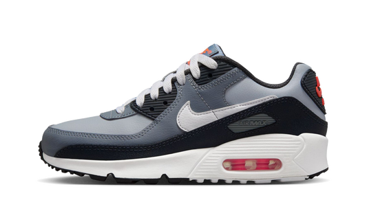 Air Max 90 GS "Wolf Gray / White" HF6358 007