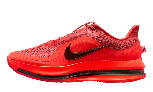 Nike Pegasus Premium "Light Crimson" HQ2592 601