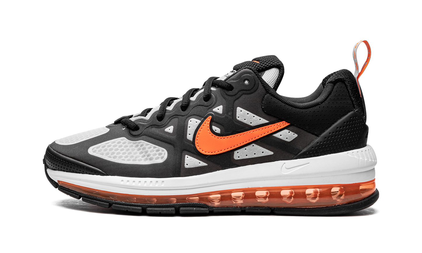 Air Max Genome