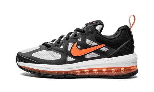 Air Max Genome