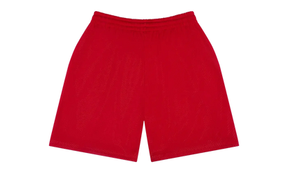 Denim University Mesh Shorts "Red" DT346