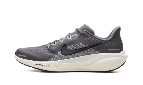 Air Zoom Pegasus 41 "Medium Ash Pure Platinum" FD2722 215