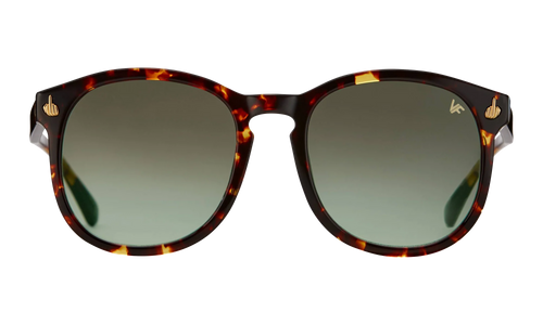 Revolution Acetate "Brown Tortoise / Gray Gradient" MPRE2 0007 40T5