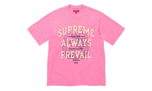 Always Prevail Short-Sleeve Top "FW25 - Pink" SU27058