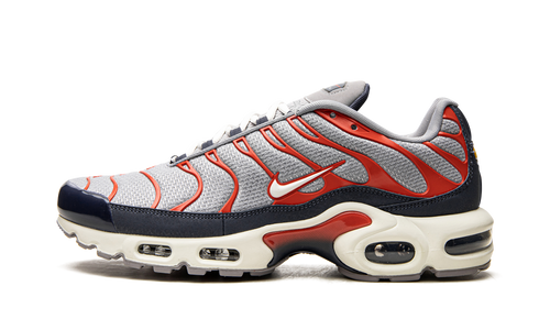Air Max Plus "USA Grey" DB0682 003