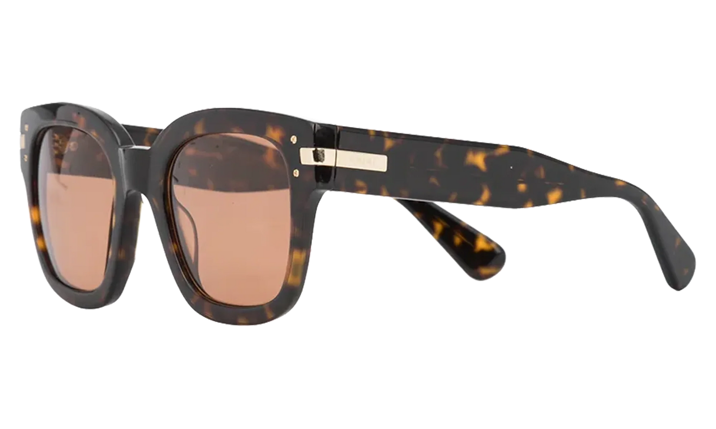 Classic Logo Sunglasses "Brown / Brown / Gold" XA41763AC BBG