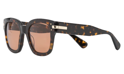 Classic Logo Sunglasses "Brown / Brown / Gold" XA41763AC BBG