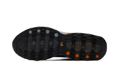 Air Max DN8 "Palace - Black" IB4181 001