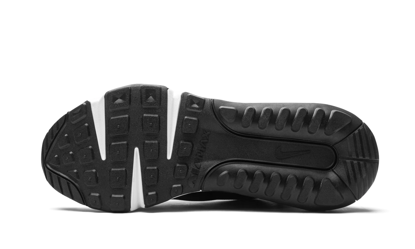 AIR MAX 2090 "Black / Wolf Grey" CW7306 001