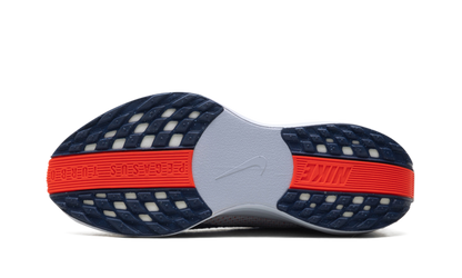 Pegasus Plus WMNS"Ghost/Blue Void/Bright Crimson/Blue Void" FQ7261 005