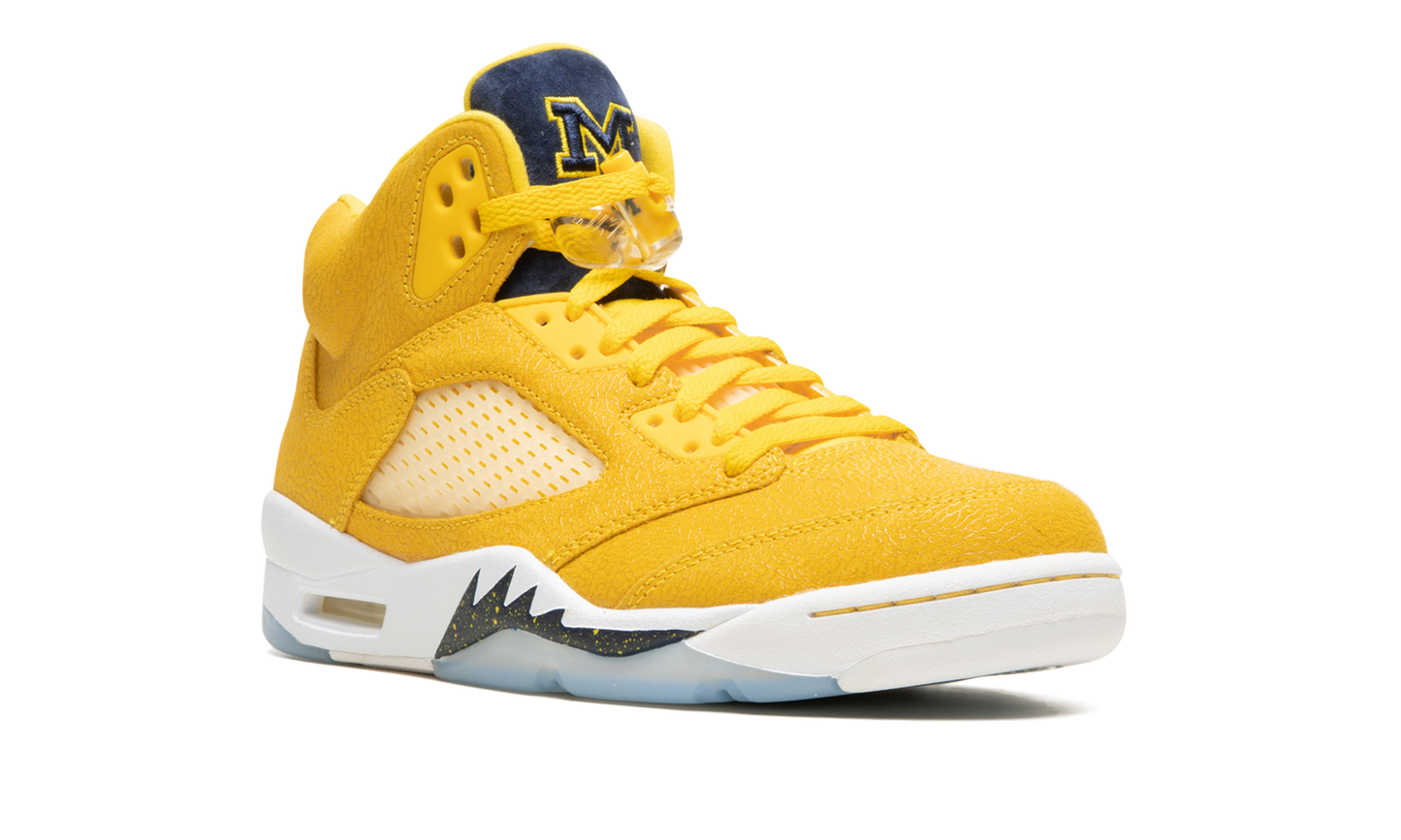 5 Retro PE "Michigan" DJ4954 997021