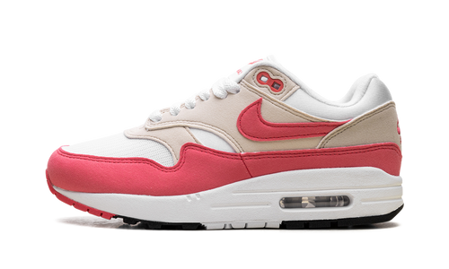 Air Max 1 WMNS "Aster Pink" DZ2628 110