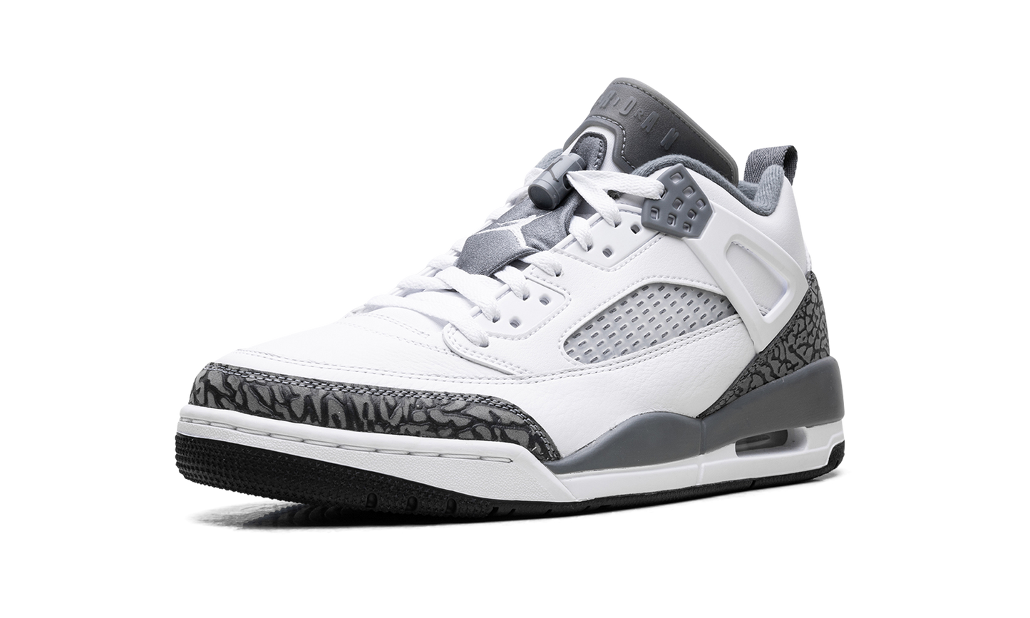 Spizike Low "Cool Grey Anthracite" FQ1759 102