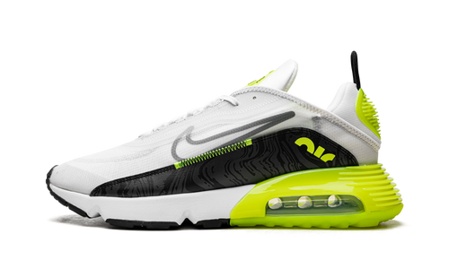 Air Max 2090 CZ7555 100