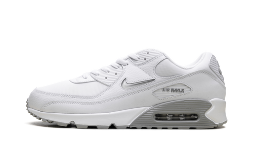 Air Max 90 "Jewel Light Smoke Grey" FN8005 100