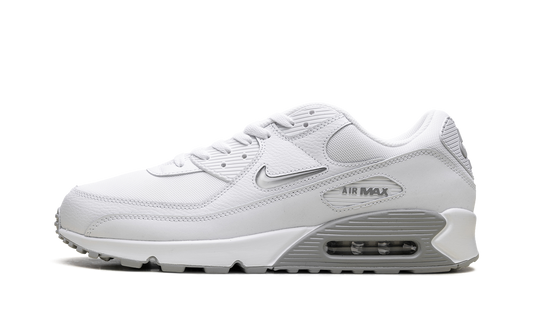 Air Max 90 "Jewel Light Smoke Grey" FN8005 100