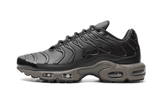 Air Max Plus "Black Tea / Petra Brown" "Black Tea / Petra Brown" HJ4519 200