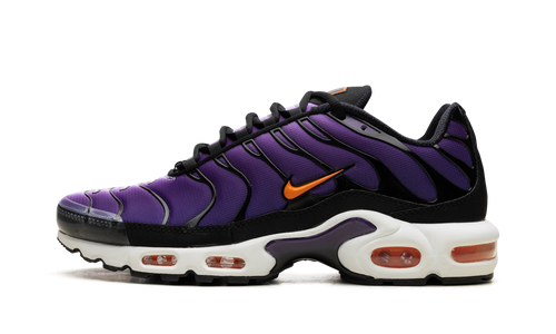 Air Max Plus "Voltage Purple" DX0755 500